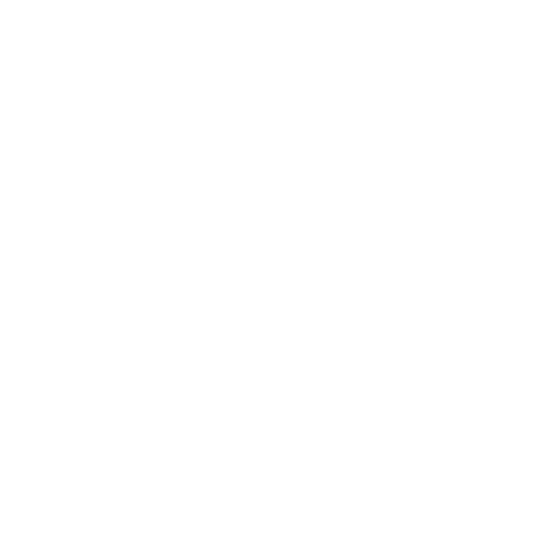 Experienced Team